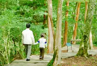 ポーラ美術館の写真・動画_image_27970