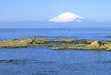 湘南国際村センター