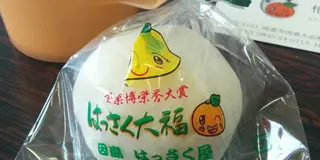 しまなみ海道サイクリングスポット