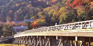 京都の紅葉×お寺×食をとことん満喫！てくてくお散歩♪