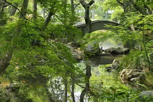 広尾で綺麗になる