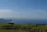 ふれあい牧場