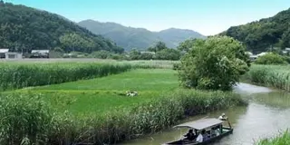 水郷の里 近江八幡を満喫・・・のはずが 時間切れ (T ^ T)