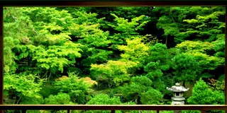 ぜひ出張時に！新潟市中央区を３時間で堪能しましょう！