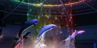 夏に涼しく遊ぶならアクアパーク品川にいこう♪