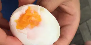 東郷湖で温泉たまご♪　東郷～はわい～三朝