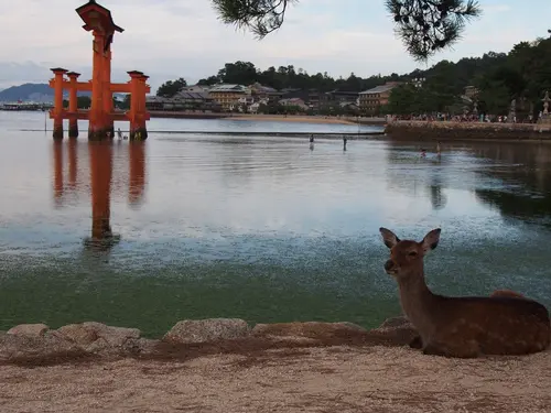 広島、気ままに満喫ひとり旅♡
