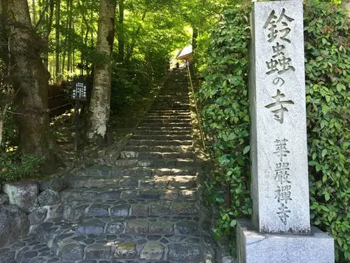 日帰り京都観光
