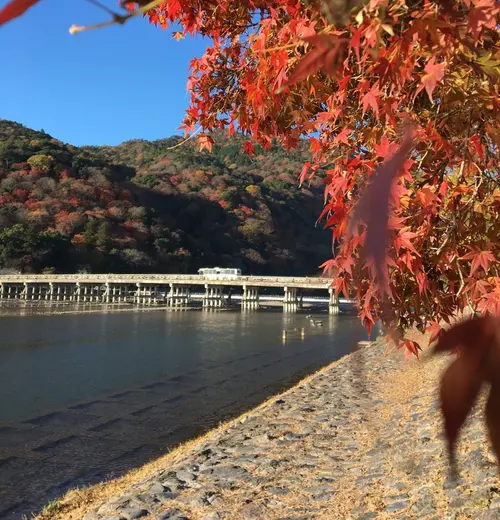 決定版！1泊2日で京都の紅葉を楽しむプラン