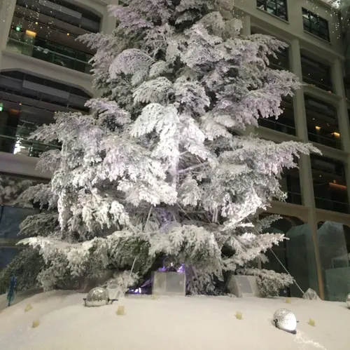 東京の大きなクリスマスツリーを見に行く