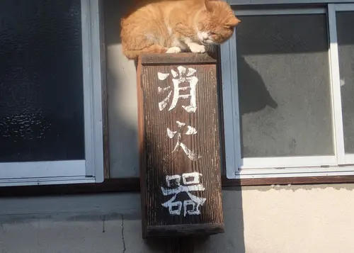 川戸周辺の知られざるスポット巡り～癒しもあるよ♪～