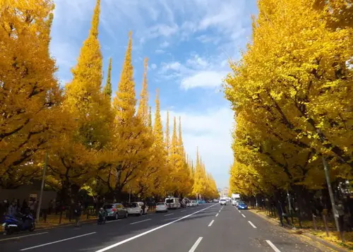 【早起きは三文の徳】渋谷青山エリア朝活スポット~恋人編~