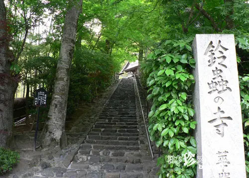 初めて京都にくる人にオススメする定番とちょっとデープな旅(笑) 西エリア編