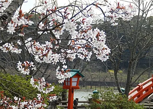【中間市】レンタサイクルで巡る