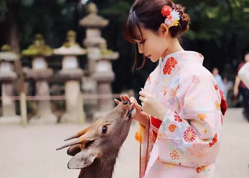 ならまちを遊びつくせプラン