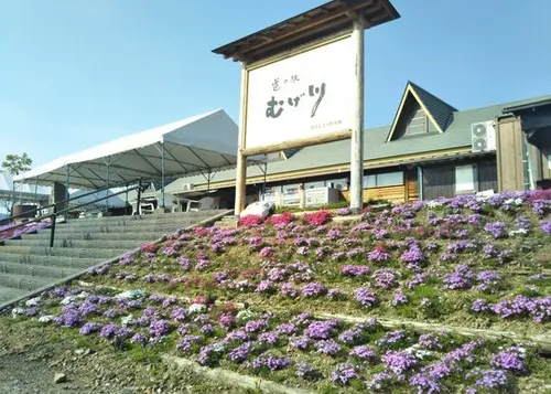 道の駅-岐阜/滋賀/三重/愛知-1day