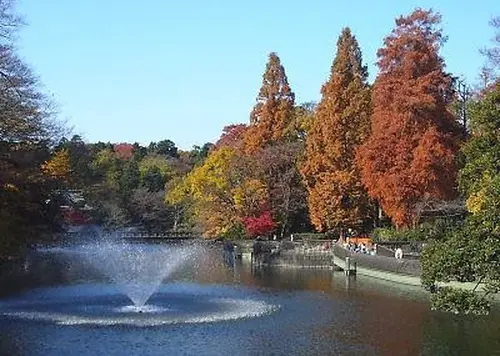 紅葉を満喫♪武蔵野散歩