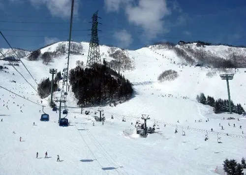 日帰りOK＊湯沢で楽しむ雪遊びプラン
