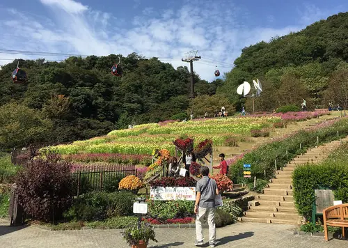 神戸の北をピクニック♪