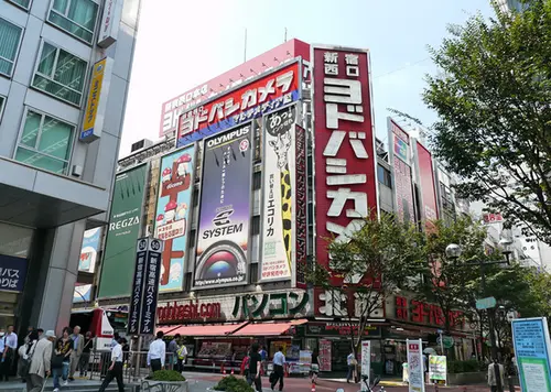 新宿駅西口から行く　房総の海満喫ツアー