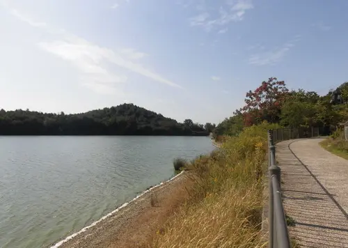 志方牛！？靴下のまち・加古川の平荘湖・日岡山