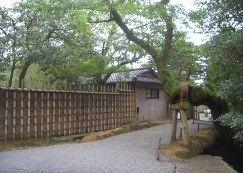 かぐや姫！？鈴虫の鳴く寺院で聞く説法