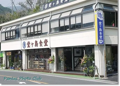 西伊豆ドライブに出かけませんか？