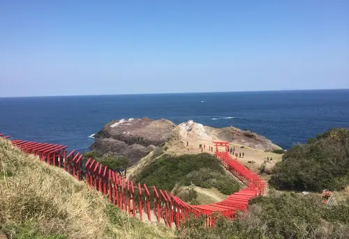 歴史と桜をめぐる旅〜山口・大分・熊本〜2016