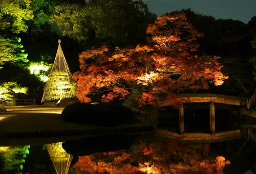 東京の庭園や山で秋を感じる