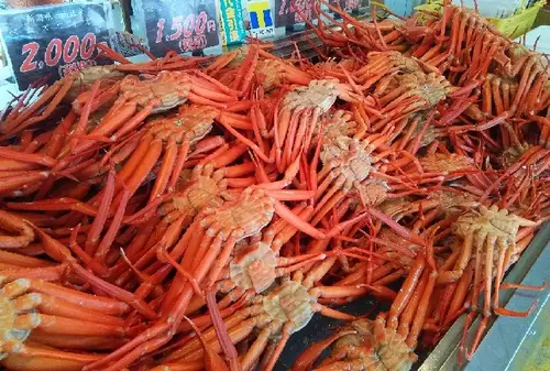 海と山と美食の新潟《前編》～糸魚川市・上越市・十日町市・津南町～