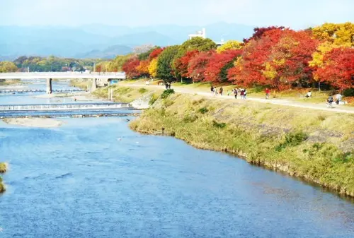 京大生おすすめ、ローカル感満載の京都