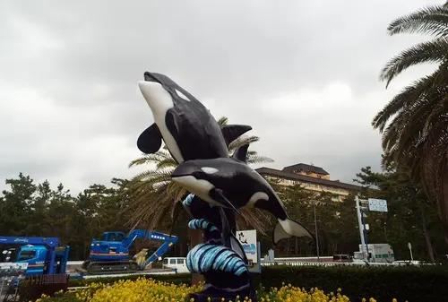 鴨川シーワールドでラブカを見た自慢をするだけ
