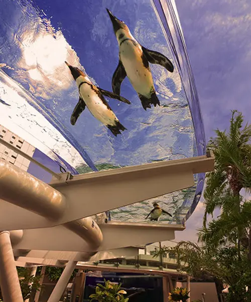水族館のビアガーデンと、池袋散策