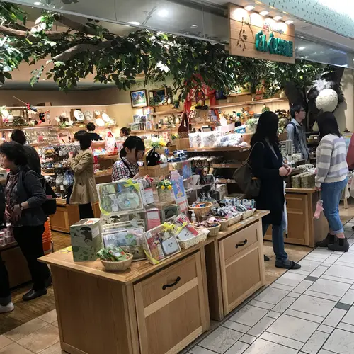 どんぐり共和国