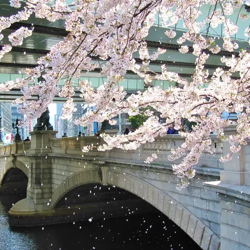 日本橋