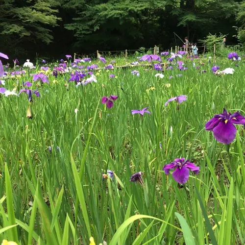 泉谷公園