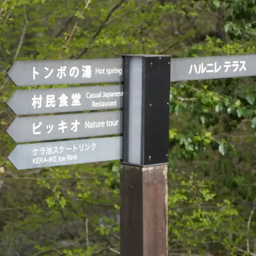 ハルニレテラス