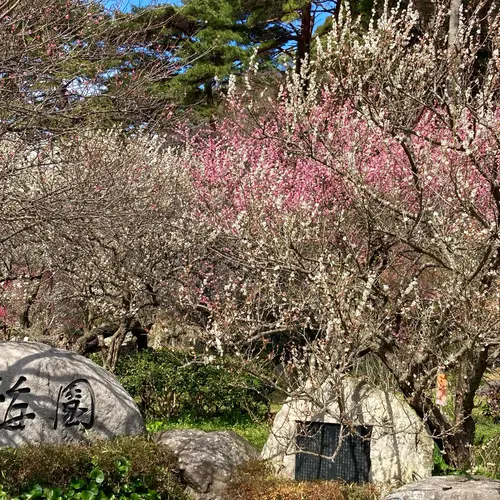 熱海梅園