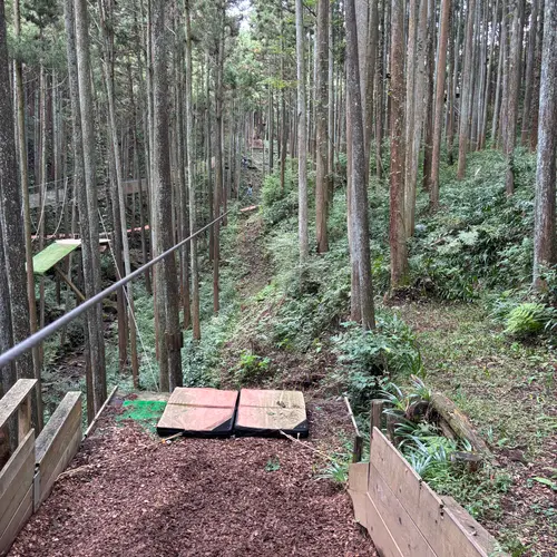 フォレストアドベンチャー・小田原