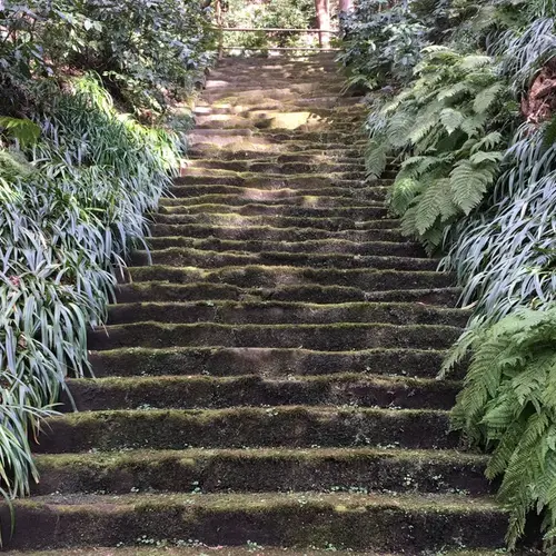 妙本寺
