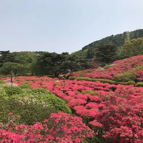 小室山公園