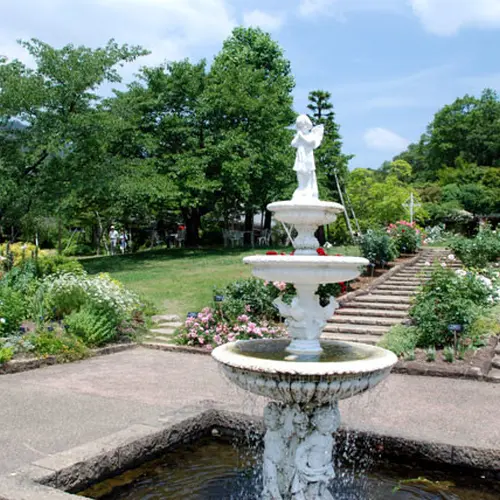 西宮市北山緑化植物園