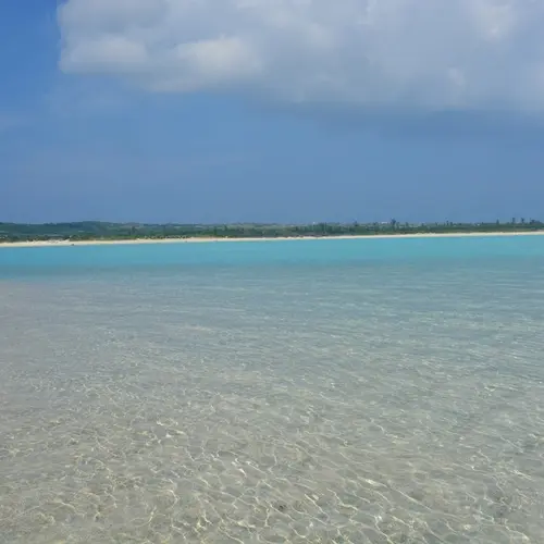 大金久海岸
