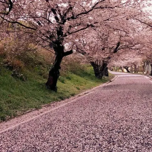 垣生公園