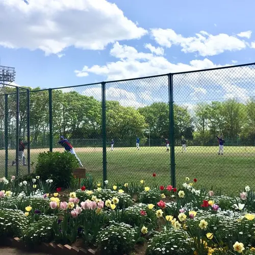 城北中央公園