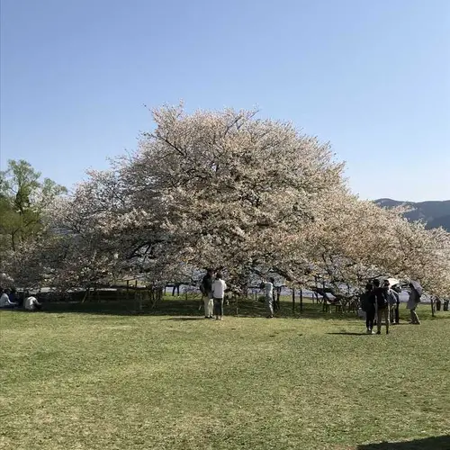 箱根園