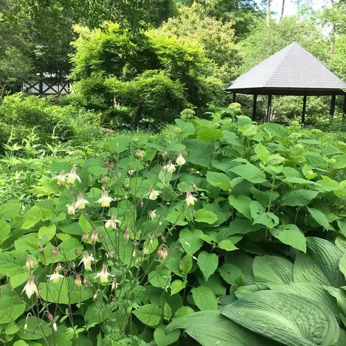 ムーゼの森