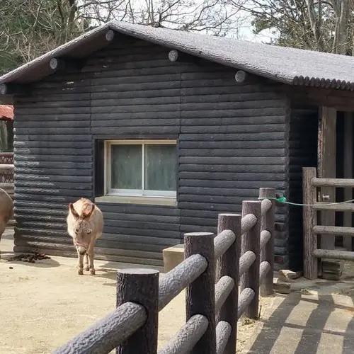 動物の森（海の中道海浜公園）