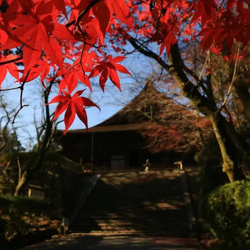 長等山 園城寺（三井寺）