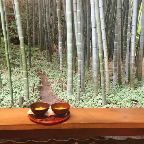 報国寺（竹寺）